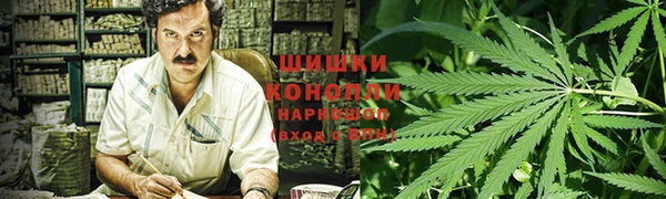 экстази Бородино