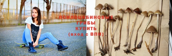 тгк Бронницы