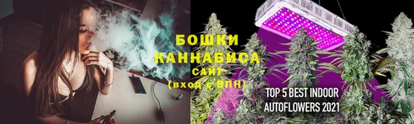 экстази Бородино